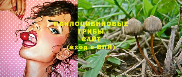 таблы Михайловск