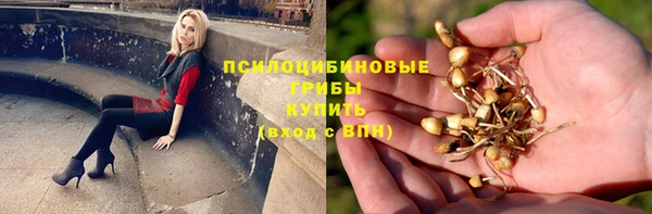 спиды Михайловка