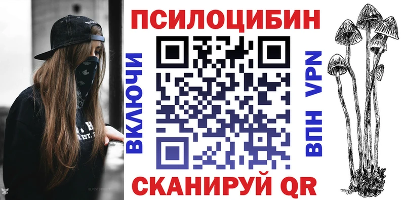 где можно купить   Дзержинск  Галлюциногенные грибы прущие грибы 